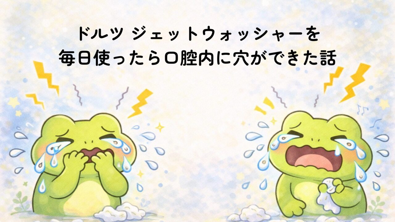 ドルツ ジェットウォッシャーの使いすぎに注意 毎日使って起きた体験談